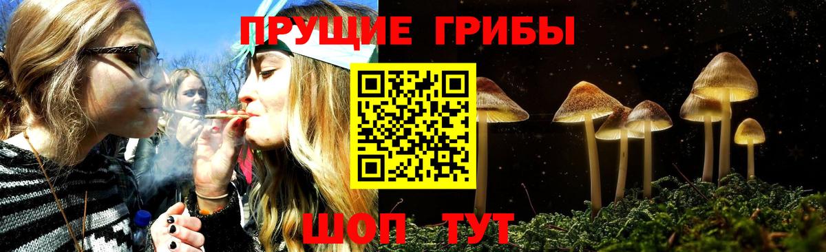 Галлюциногенные грибы ЛСД Кимры